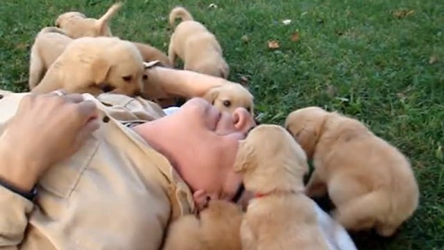 Cet homme était venu pour adopter un chiot. Mais tout ne va pas se passer comme prévu