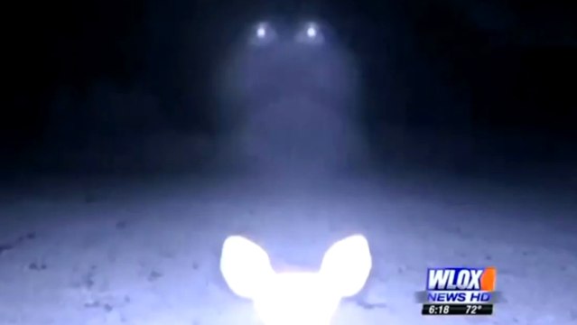 Si vous ne croyez pas aux extra-terrestres, cette vidéo va vous faire douter