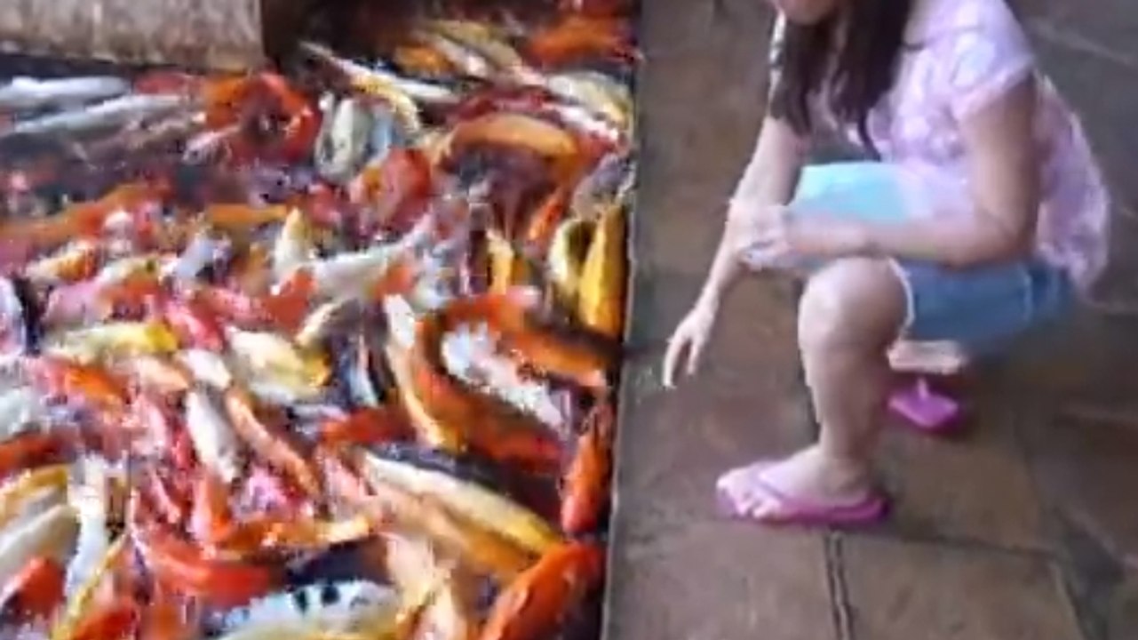 Cette fillette sait comment attirer les poissons. Peut-être même un peu trop