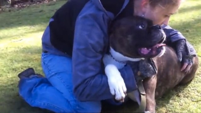 Ce chien a été secouru après un arrêt cardiaque. Découvrez ce sauvetage impressionnant