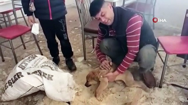 İnsanlık ölmemiş dedirten davranış