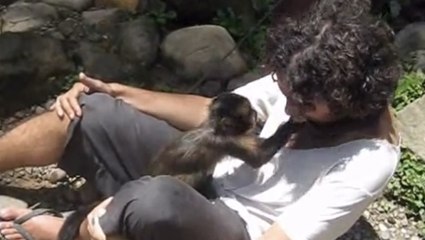 Ce singe est le plus généreux du monde. Il s'occupe des humains comme une mère