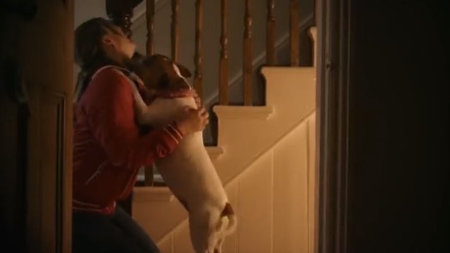 Le chien est vraiment le meilleur ami de l'homme. Cette vidéo va vous le prouver
