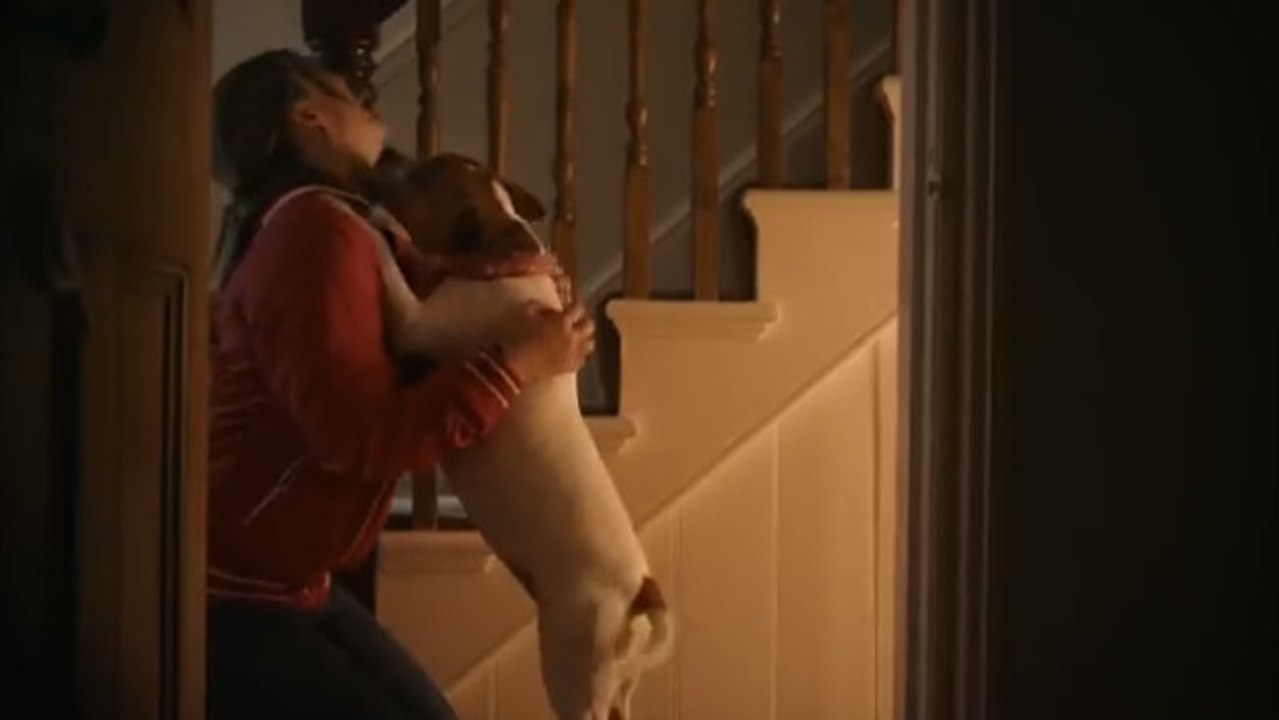 Le chien est vraiment le meilleur ami de l'homme. Cette vidéo va vous le prouver