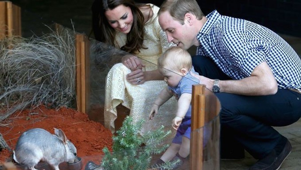Kate Middleton : sortie en famille au zoo en Au...