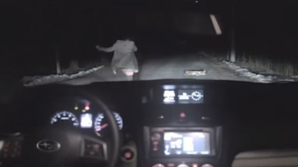 Cette femme écrase un chien. Mais en allant à sa rencontre, les choses ne vont pas se passer comme prévu