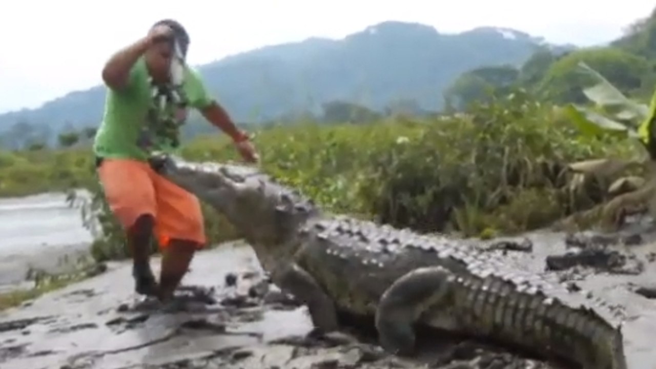 Cet homme est ami avec un crocodile. Une amitié qui va vous épater