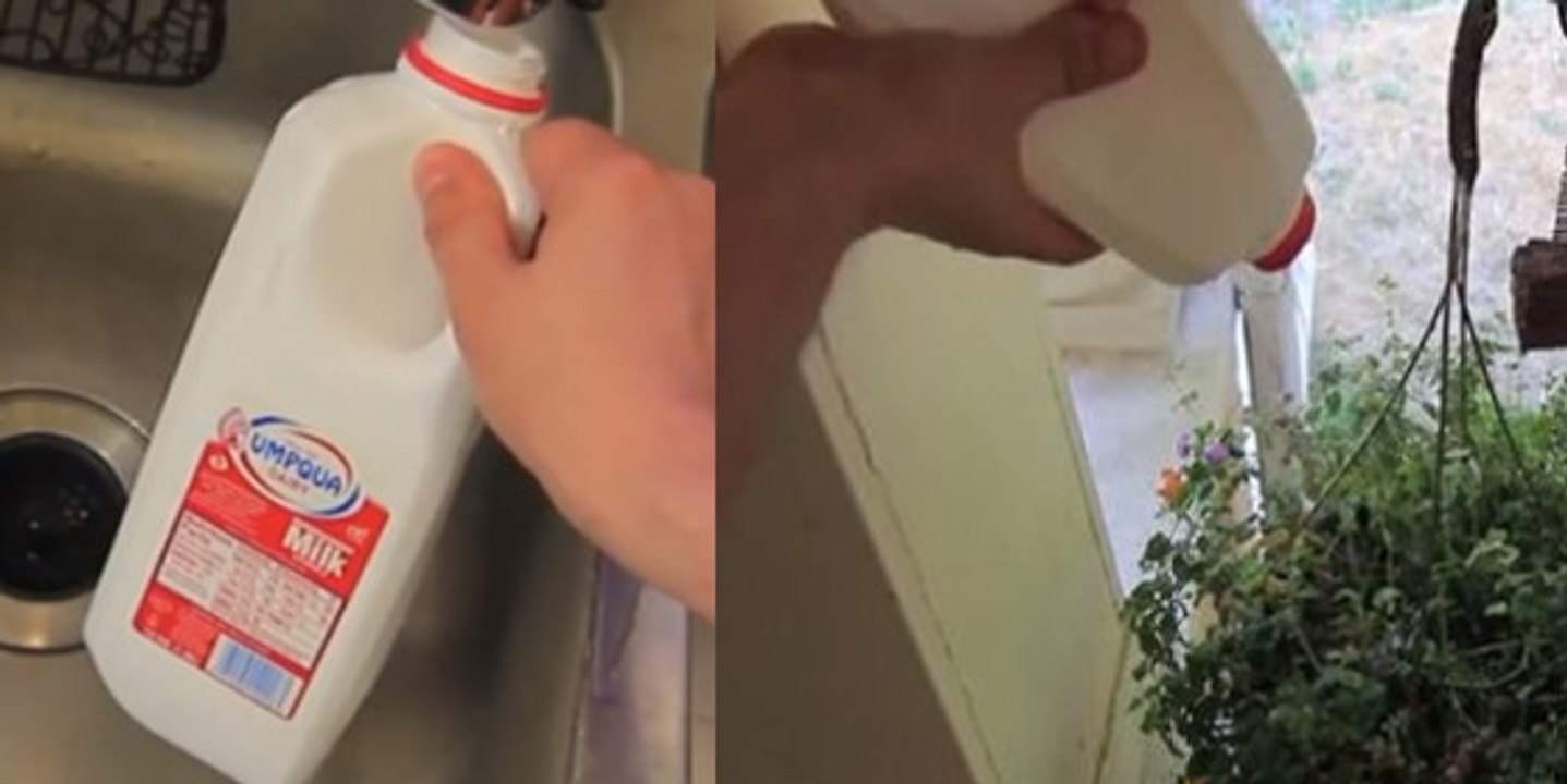 Besoin d'arroser vos plantes ? Découvrez comment créer un arrosoir en quelques minutes