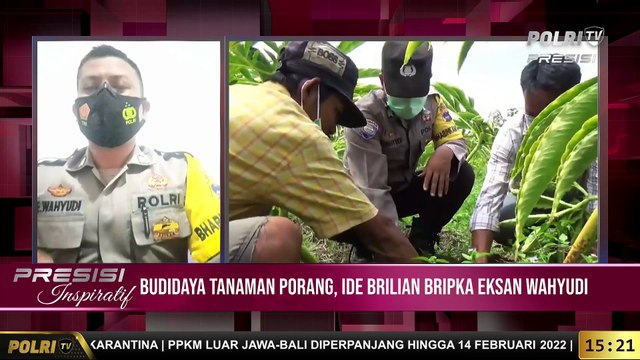 PRESISI INSPIRATIF : Anggota Bhabinkamtibmas Desa Kelumpang Sei Kupang Jaya - Bripka Eksan Wahyudi yang Membina Puluhan Petani di Wilayah Tanjung Batu dengan Porang Menanam