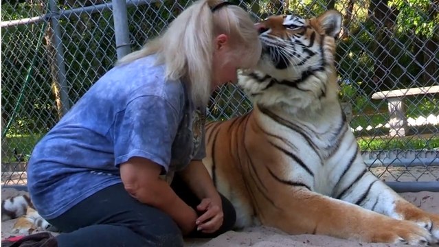Cette femme adore les félins. Mais elle n'a pas adopté des chats comme les autres