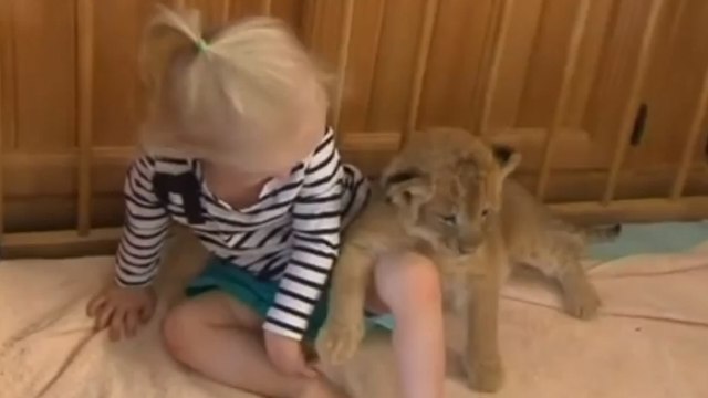 Cette petite fille a un nouvel animal de compagnie. Et ce n'est pas un chat comme les autres