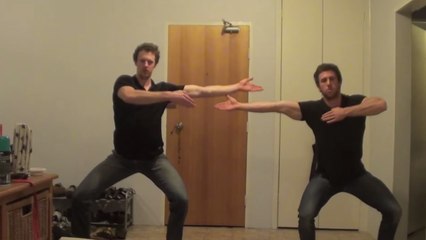 Ces jeunes hommes ont voulu fusionner comme dans Dragon Ball Z. mais rien ne s'est passé comme prévu