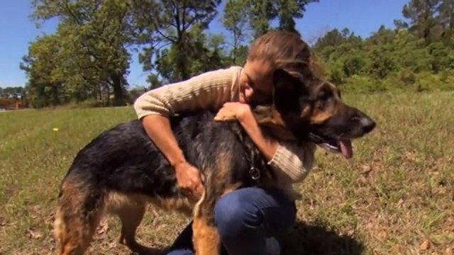 Ce chien est incroyable. Il a sauvé la vie de cette femme