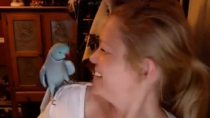 Cette perruche est bien bavarde avec sa maîtresse. Vous allez rire