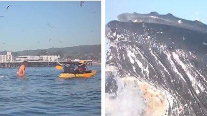 Cette jeune fille se reposait sur sa planche de surf. Mais elle ne s'attendait pas à ça