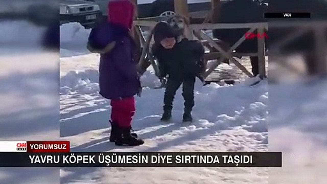 Yavru köpek üşümesin diye sırtında taşıdı