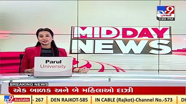 Video shows bulls fighting in the middle of busy road _GirSomnath _Gujarat _Tv9GujaratiNews