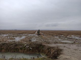4 göçmenin daha cansız bedeni bulundu