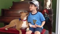 Cette chienne battue et cet enfant autiste se battent pour la même cause. Ils vont vous émouvoir