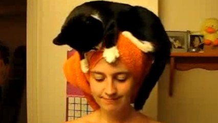 Ce chat a un rituel très étrange quand sa maîtresse est dans la salle de bain. Vous n'allez pas en revenir