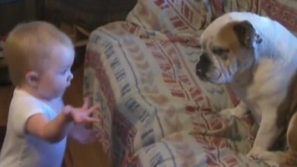 Ce bébé n'est pas du tout content de l'attitude de son chien. Et il n'hésite pas à le lui fait savoir