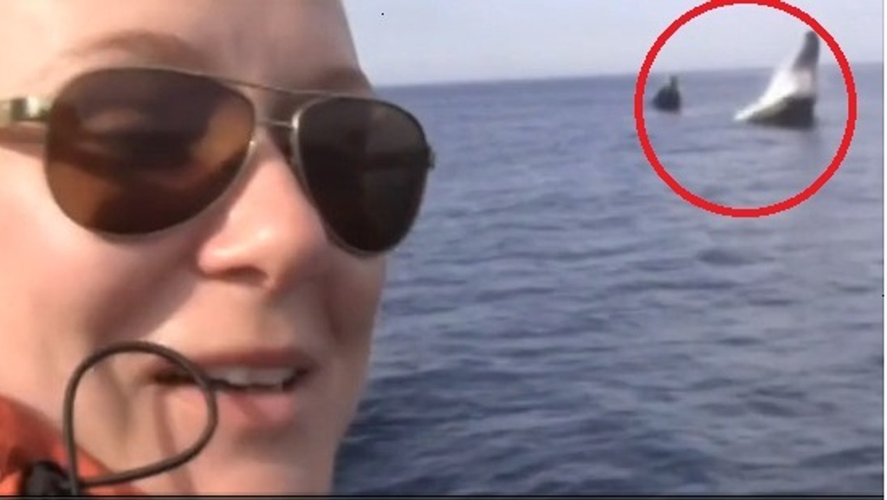 Ce couple de kayakistes a été soulevé par une baleine en pleine mer. Vous n'allez pas en revenir