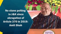 No stone pelting in J&K since abrogation of Article 370 in 2019: Amit Shah