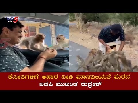 ಕೋತಿಗಳಿಗೆ ಆಹಾರ ನೀಡಿ ಮಾನವೀಯತೆ ಮೆರೆದ ಬಿಜೆಪಿ ಮುಖಂಡ ರುದ್ರೇಶ್​ | Ramanagara | TV5 Kannada