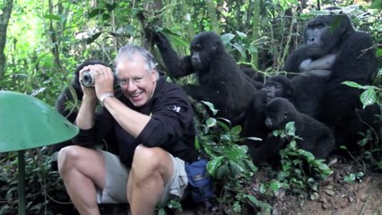 Ces gorilles ont fait une drôle de rencontre. Un instant hilarant !