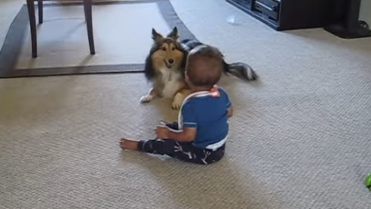 Ce bébé ne peut pas s'arrêter de rigoler. Et son chien y est pour quelque chose