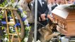 Ce chien policier fait ses adieux à son ancien partenaire. Une cérémonie très émouvante