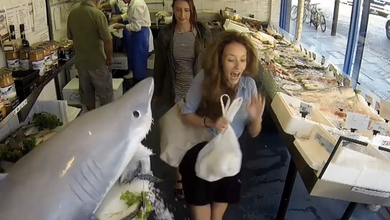 Les clients de cette poissonnerie ont été piégés par un faux requin. Une farce qu'ils n'oublieront pas de sitôt
