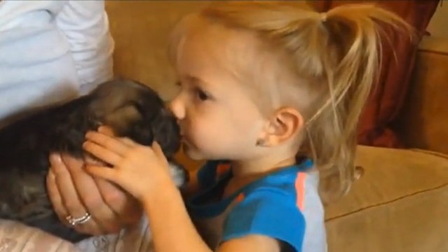 Cette petite fille rencontre pour la première fois son nouvel ami à 4 pattes. Vous allez fondre !