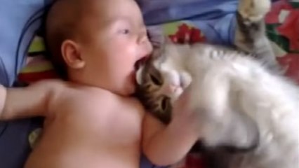 Ce chaton se retrouve pour la première fois avec ce bébé. Sa réaction va vous faire fondre