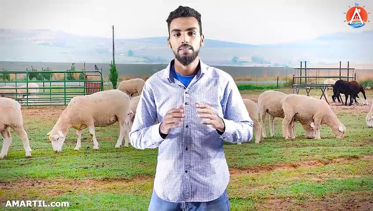 أفضل شقة مفروشة للكراء في مرتيل 2 غرف 2 حمامات صالون و بالكون 90 متر للعائلات تتوفر على مسبح Martil