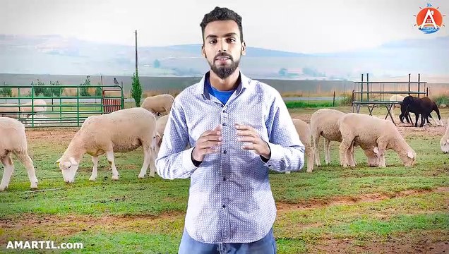 أفضل شقة مفروشة للكراء في مرتيل 2 غرف 2 حمامات صالون و بالكون 90 متر للعائلات تتوفر على مسبح Martil