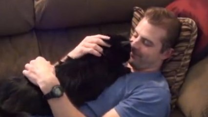 Ces chats savent comment aimer leurs maîtres... Enfin des chats reconnaissants !