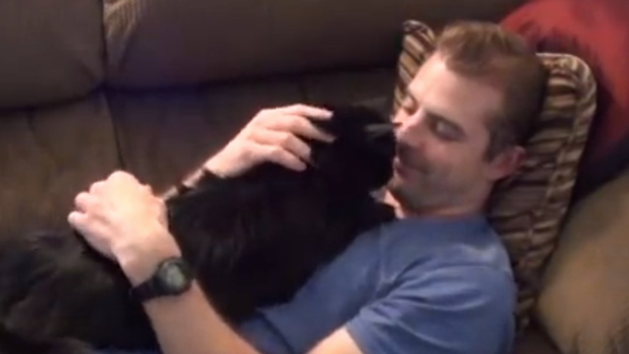 Ces chats savent comment aimer leurs maîtres... Enfin des chats reconnaissants !