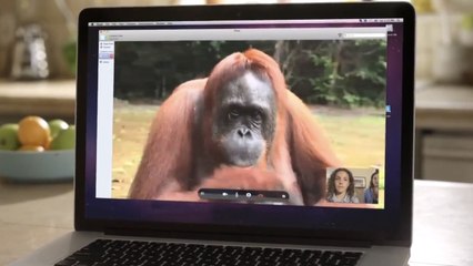 Cet orang-outan demande de l'aide à une petite fille sourde sur Skype. Son message est incroyable