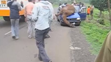En Inde, un accident spectaculaire s'est produit. Mais la suite est encore plus incroyable !