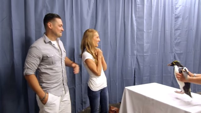 Pour demander sa fiancée en mariage, cet homme fait appel à un témoin insolite. Vous n'allez pas en revenir