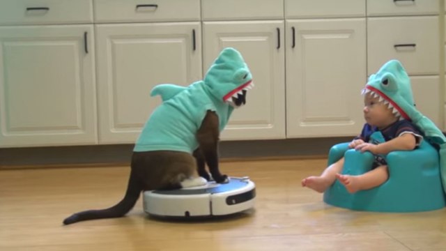 Déguisés en requins, un chat sur un aspirateur et un bébé se rencontrent. Hilarant et trop mignon !