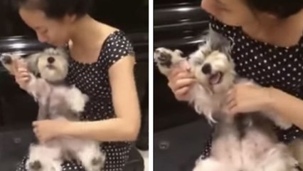 Elle joue de la musique avec son chien. Un instant adorable