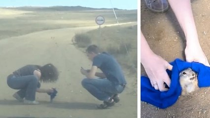 Ce couple sauve un écureuil pris au piège dans la terre. Un magnifique geste d'humanité