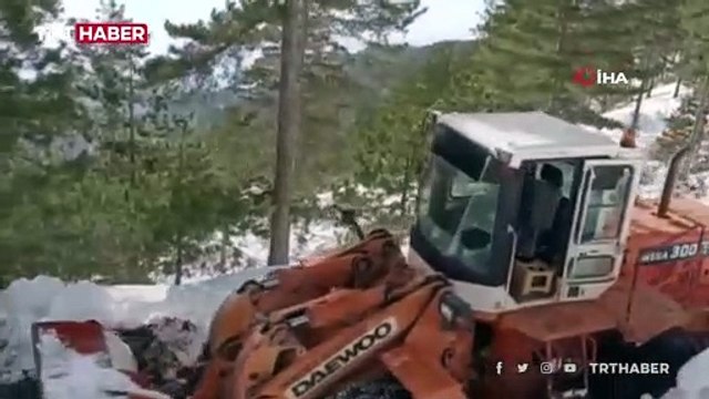 Donmak üzereyken buldukları köpeği ateş yakarak ısıttılar