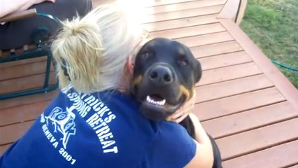Ce chien fait un bruit curieux quand il reçoit des câlins. Découvrez lequel !