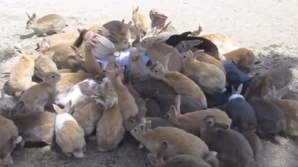 Cet homme est recouvert de lapins. Une expérience pleine de douceur