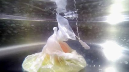 Voilà ce qu'il se passe dans la casserole lorsque vous faites cuir un oeuf