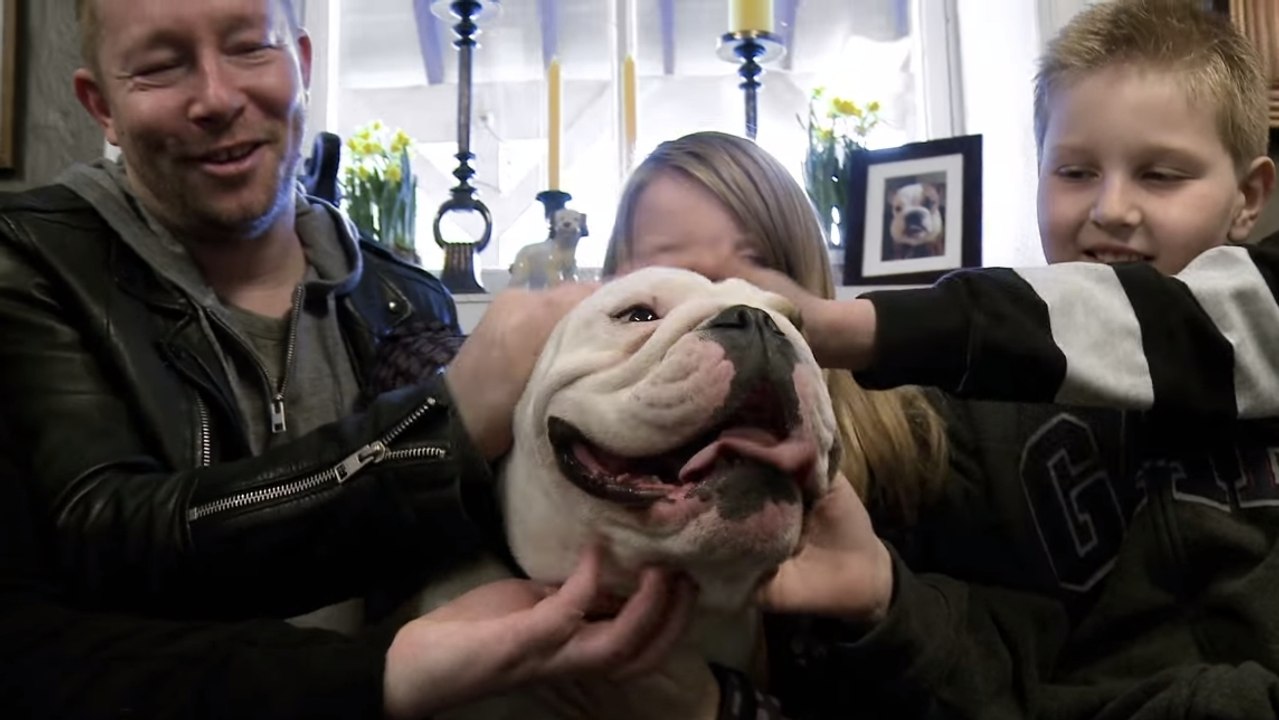 Cette famille fait une magnifique surprise à son chien avant de partir en vacances. Un grand moment d'émotion