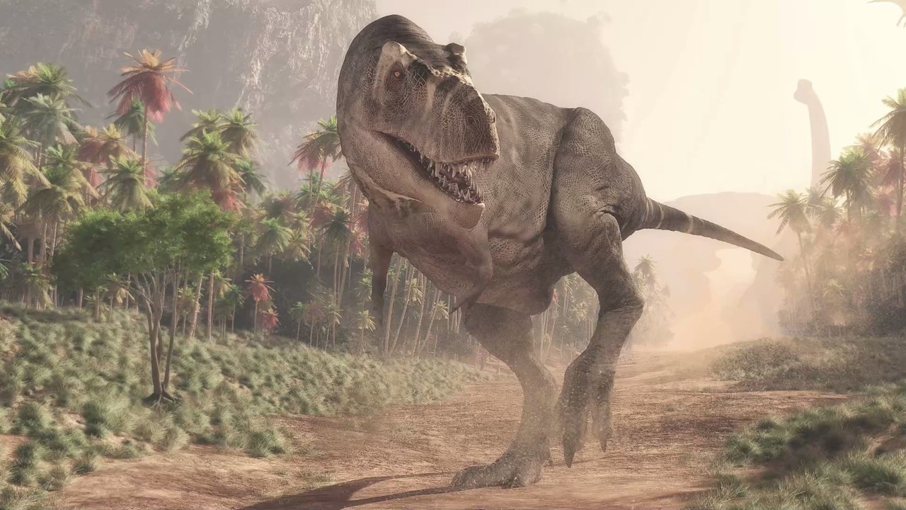 Unglaubliche Entdeckung: In Australien wird ein seltener Dinosaurier gefunden